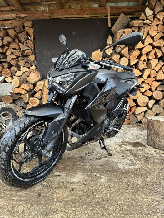 Kawasaki Z300r A2
