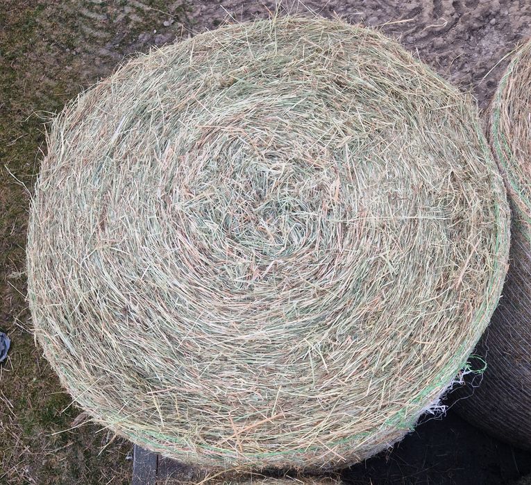 Baloții de fân si otavă ROTUNZI SAU PĂTRAT