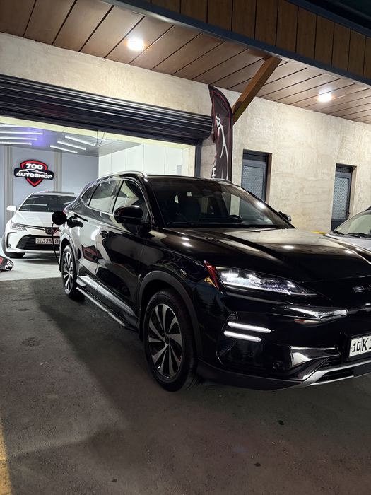 Byd Chempion 2024 full 605