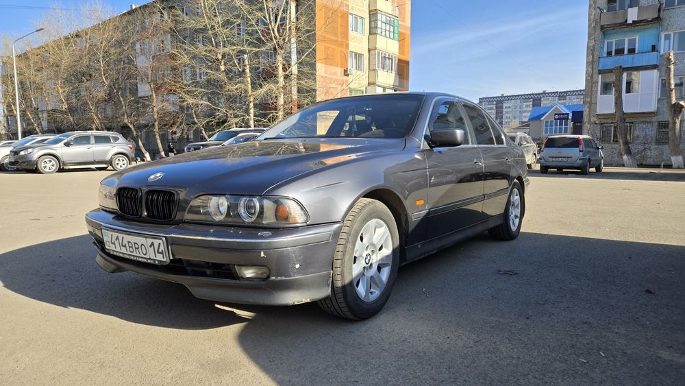 Продам BMW E39, поросёнок