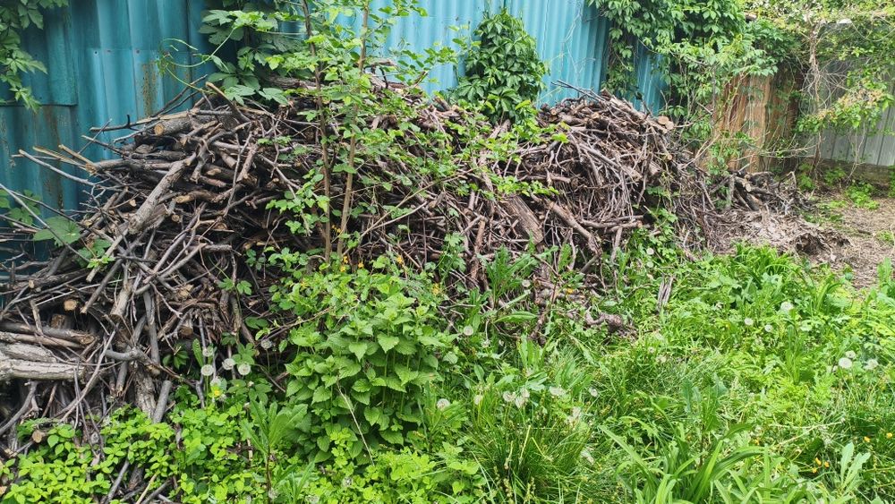Продам дрова, сухие