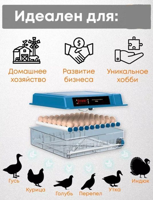 Инкубатор аппарат