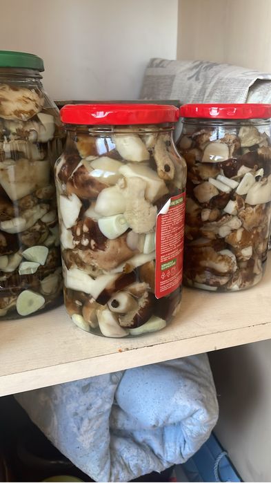Грибы маринованные