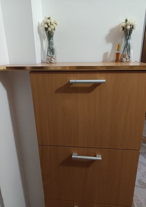 Pantofar pentru hol