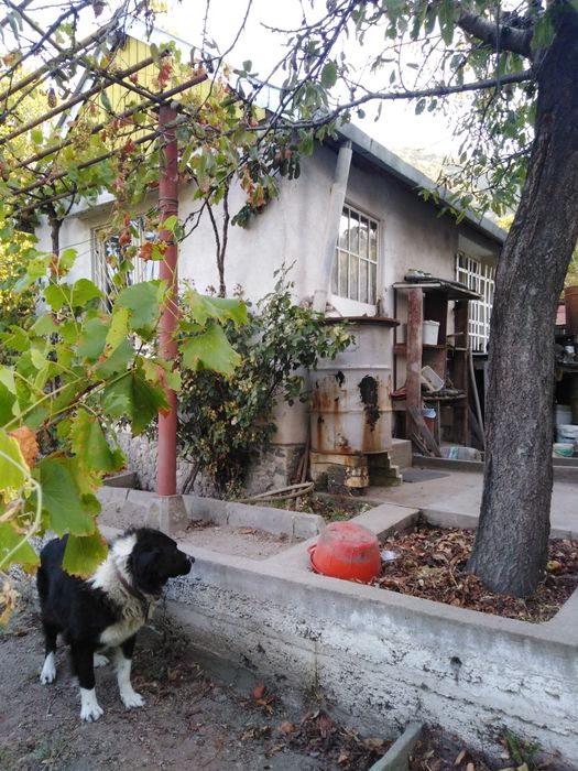 Вила м. Конлука, кв. Сушица