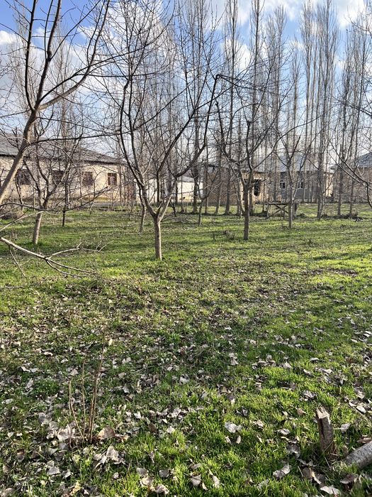 Yangi ozbekiston, yangi toshkent 12 sotok uchastka sotiladi