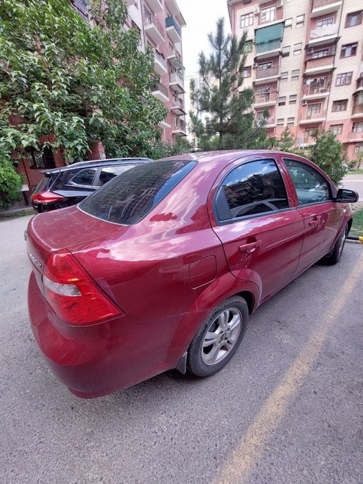 Nexia3 bardoviy