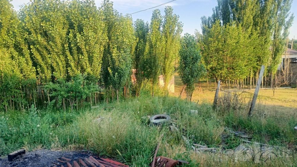 Dacha  sotiladi maiskyda