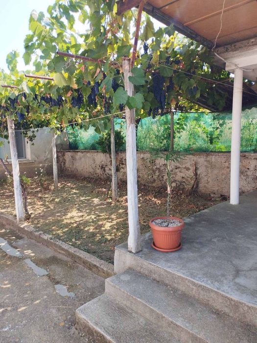 Продава се Къща в с. Свирково, Област Хасково - 1200 кв.м за 23 €/кв.м - Снимка #1