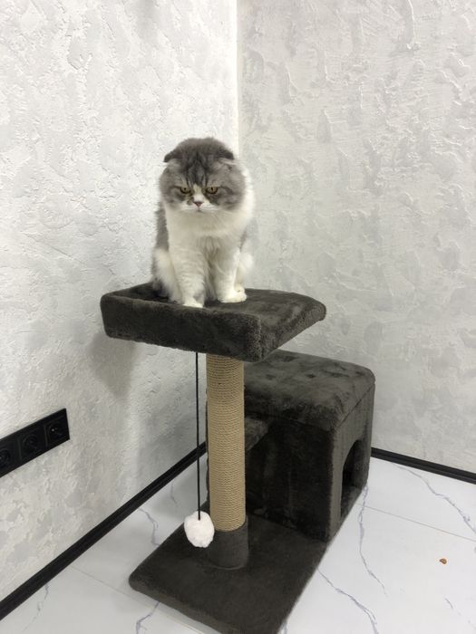 Домик для кошек с когтеточкой !