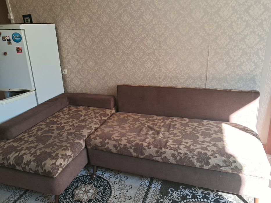 Продам диван и палас за 30 тыс тенге.