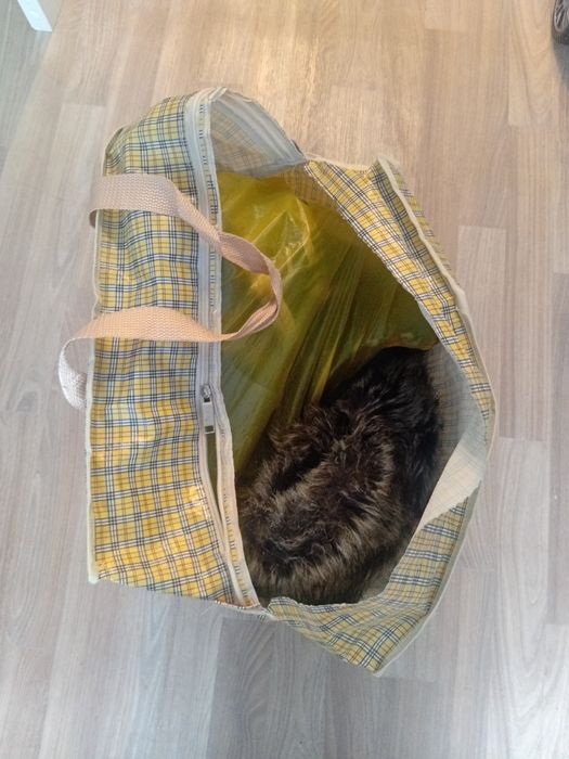 Детские вещи для мальчика