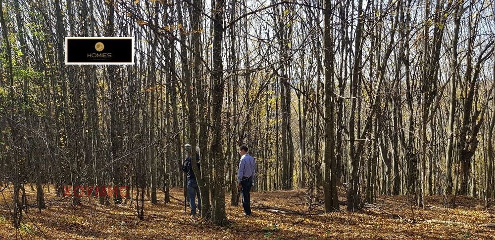Парцел 3202 кв.м за продажба в Априлци | Панорама и строителство