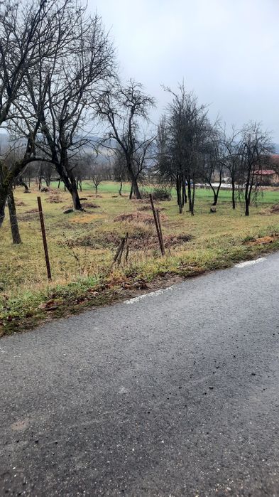 Teren intravilan