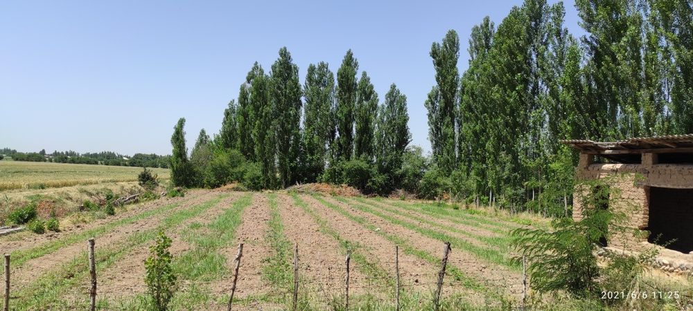 Участок мечты: 16,5 соток, вода круглый год, горный воздух!