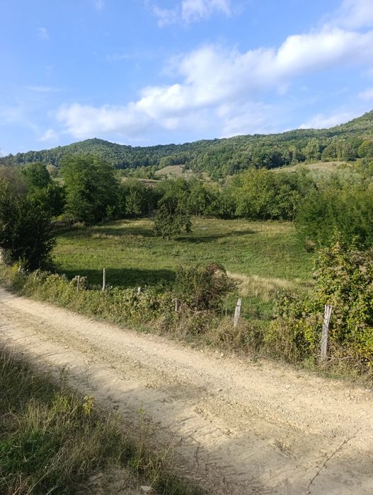 Vând teren intravilan/extravilan