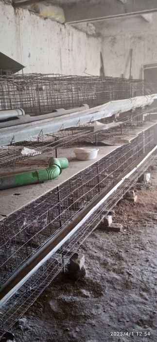 Tovuq boqish uchun setklar