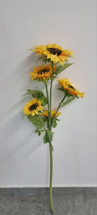 Подсолнухи декоративные