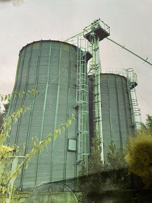 Vand 2 silozuri de cereale