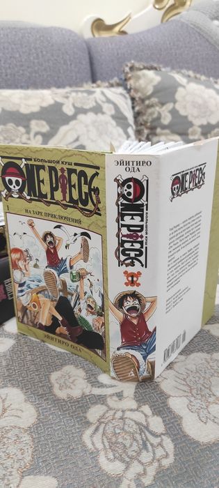 One Piece, 1 Том