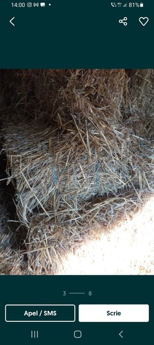 Baloti de paie uscati