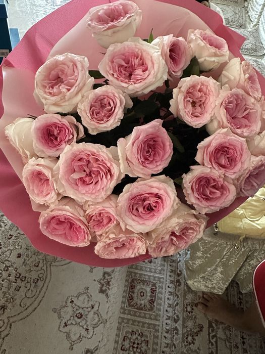 Свежий розы за 10 к