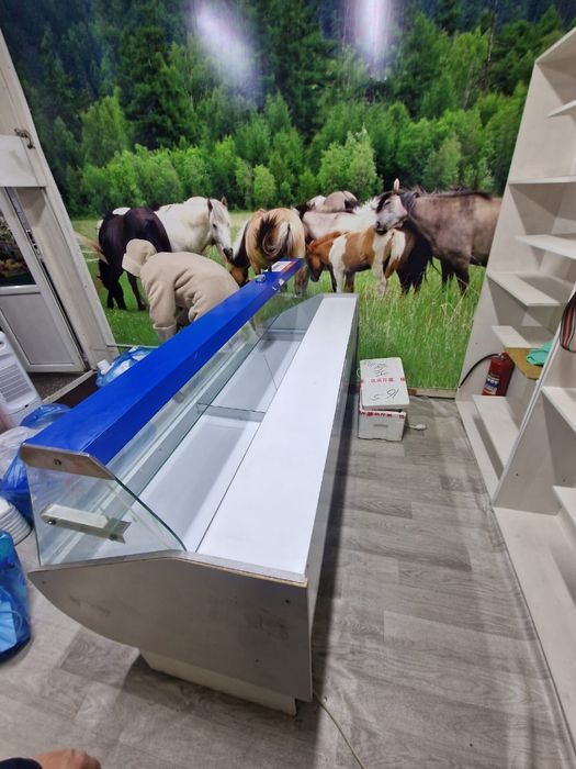 Витринный холодильник