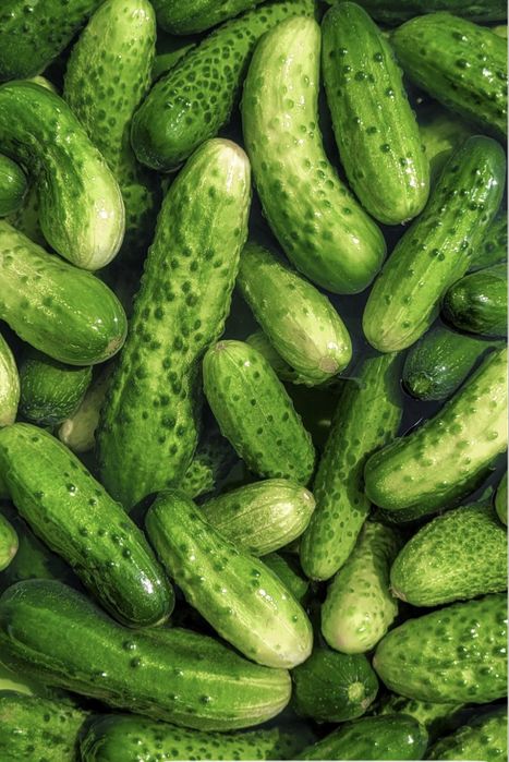 Продам домашние огурцы
