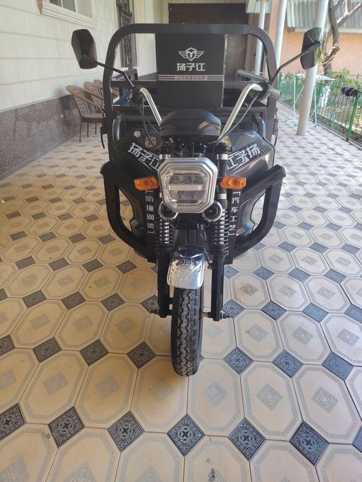 Трицыкол муравей