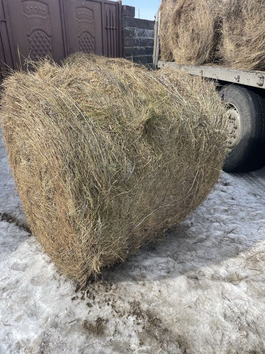 Сено разнотравье рулоны