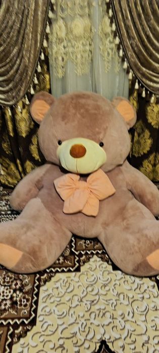 Yumshoq o'yinchoq. Ayiq