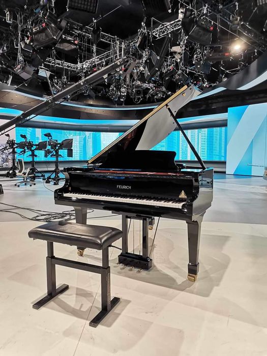 Роял Feurich 162 – DYNAMIC I