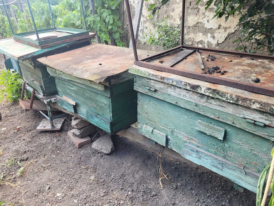 Lichidare de Stupi de Albine + Centrifuga