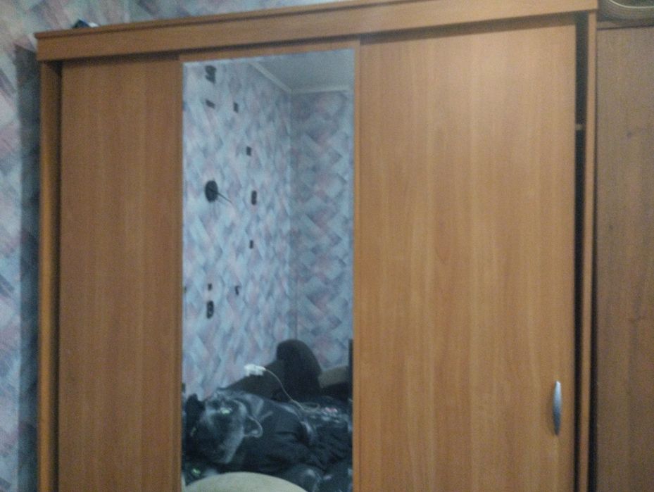 Продам платенный шкаф.Недорого.