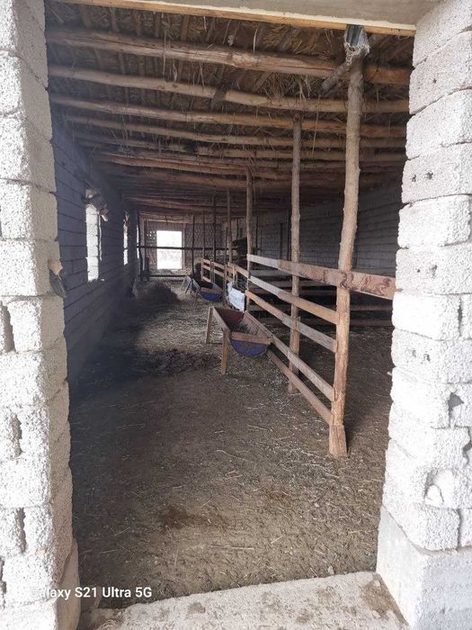 Продаётся Фирма, с Постройками и с Земельным участком - 7,8Га. Кибрай