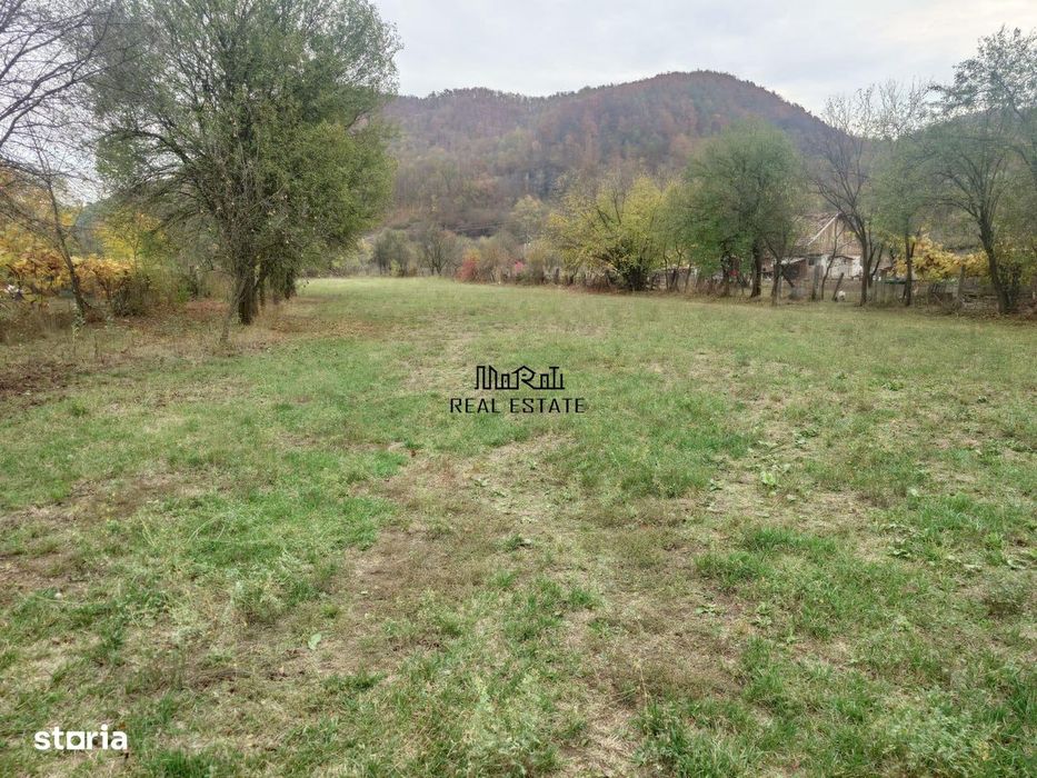 Teren intravilan 2500mp Criscior
