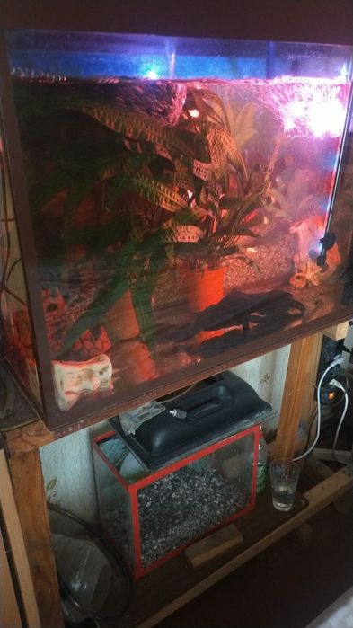 Аквариум 170 литров