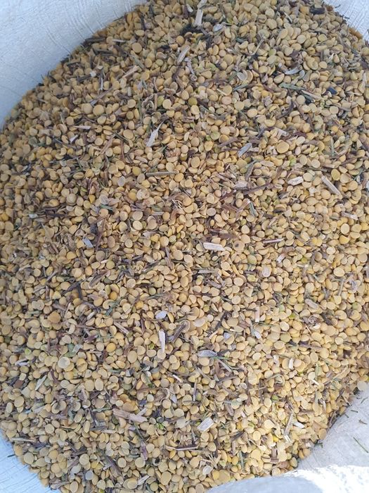 Продам соевую сечку