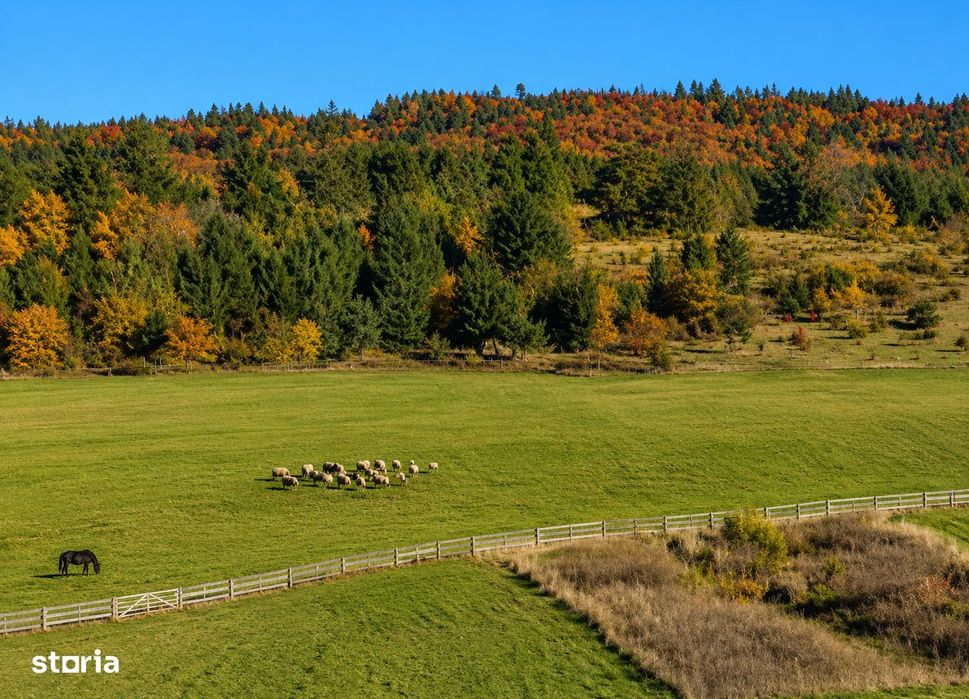Teren SUPERB la munte, INTRAVILAN, statiunea Covasna
