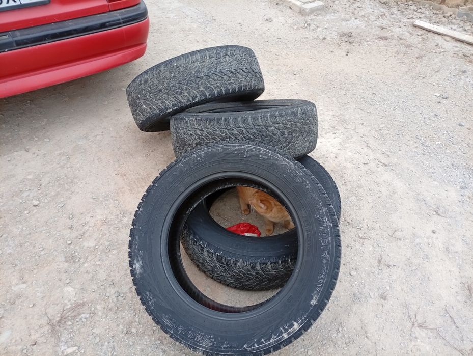 Зимний покрышка сатылады