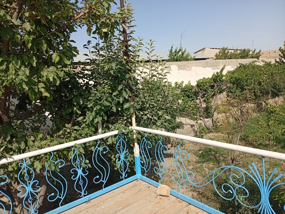 Дом на участке 12 соток.  сад 2сотки.