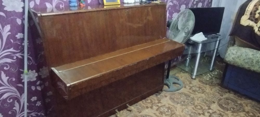 Pianina lastochka sotladi