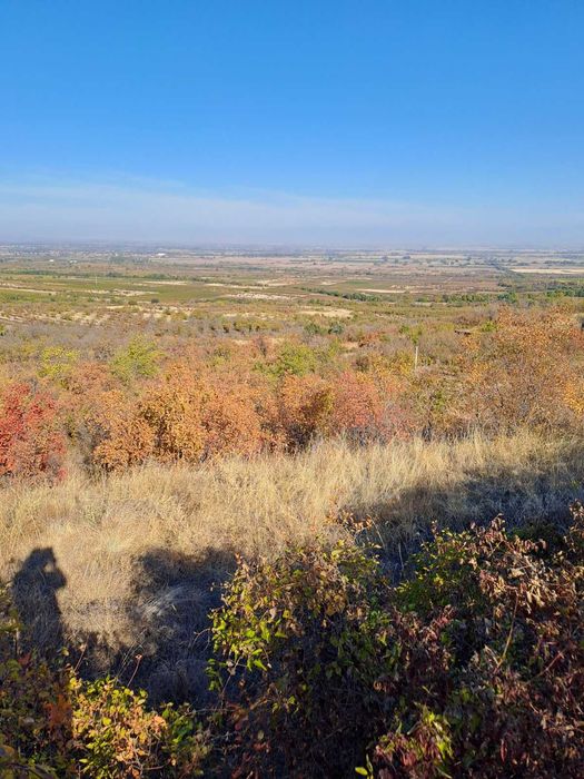 Продава се Парцел в с. Брестовица, Област Пловдив - 950 кв.м за 7 €/кв.м - Снимка #1