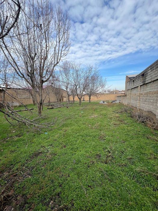 Олтин тепада Ер сотилади 5сотих  сотги 15.000$ келшамиза