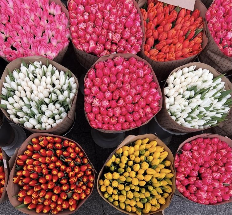 Тюльпаны Большие Бутоны