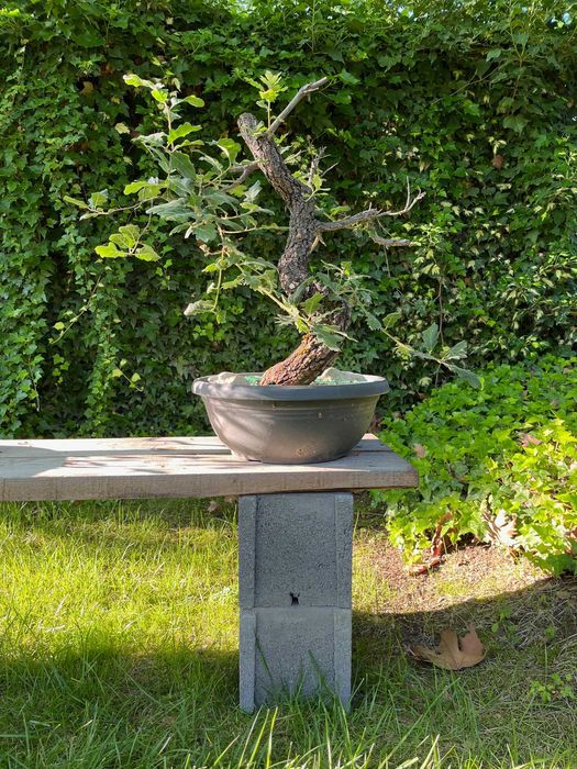 Вулканична Пемза и Лава