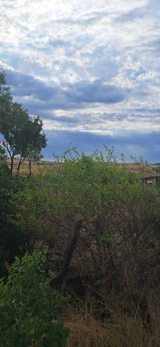 Продава се Парцел в Бургас, Братя Миладинови - 920 кв.м за 42 €/кв.м - Снимка #3