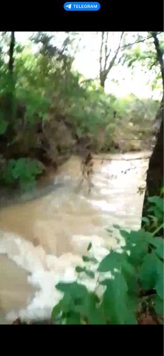 Uchaska sotiladi Toshkent viloyati Pskent Toshkend dengizi yaqinidaaaa