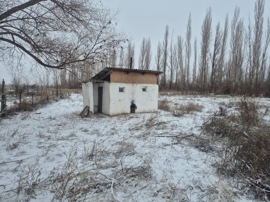 Фазенда 36 гектаров