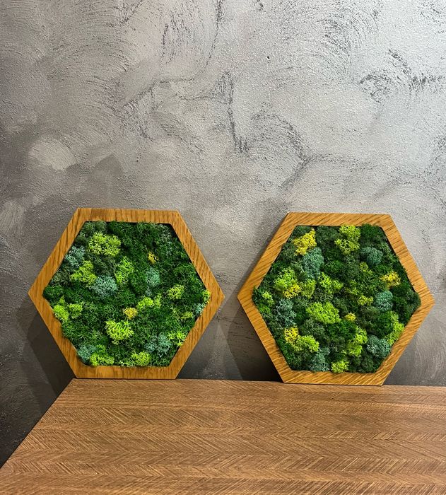 Пано щестоъгълник със скандинавски мъх